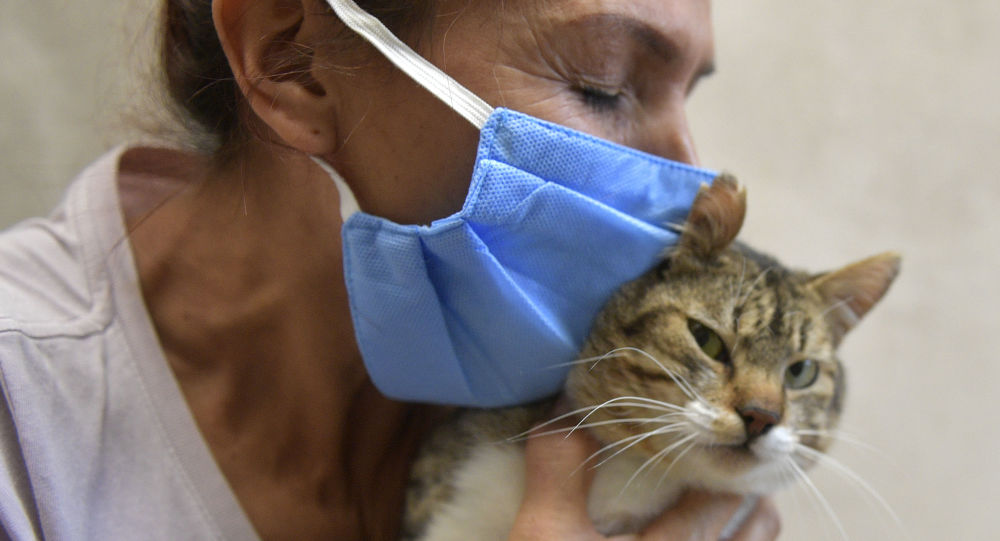 ����: ru.sputniknews.kz