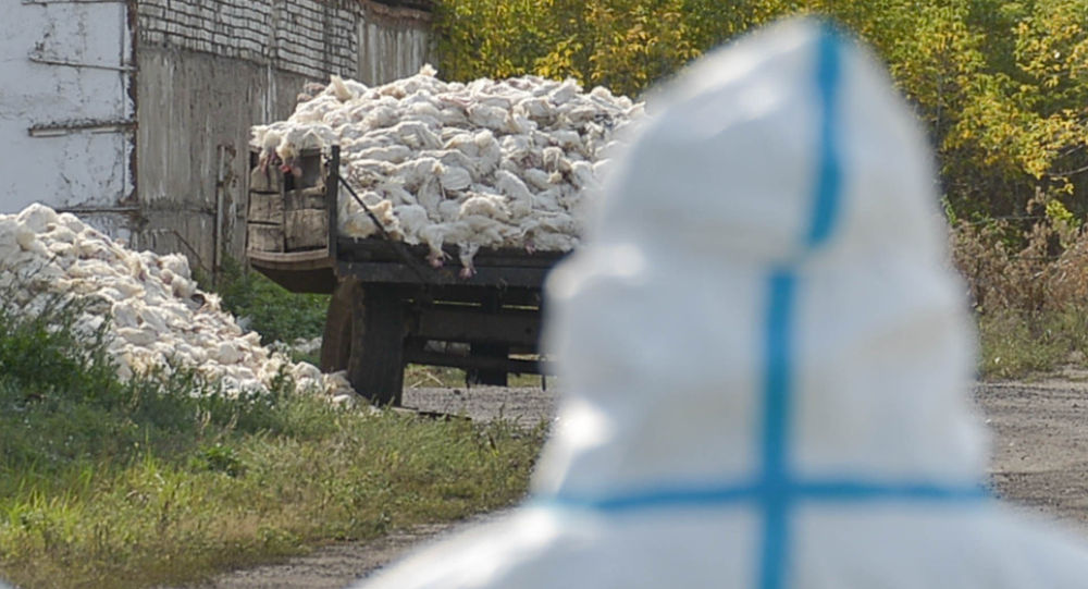 ����: ru.sputniknews.kz