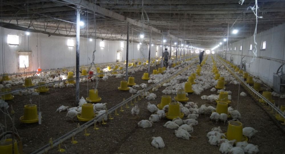 ����: ru.sputniknews.kz