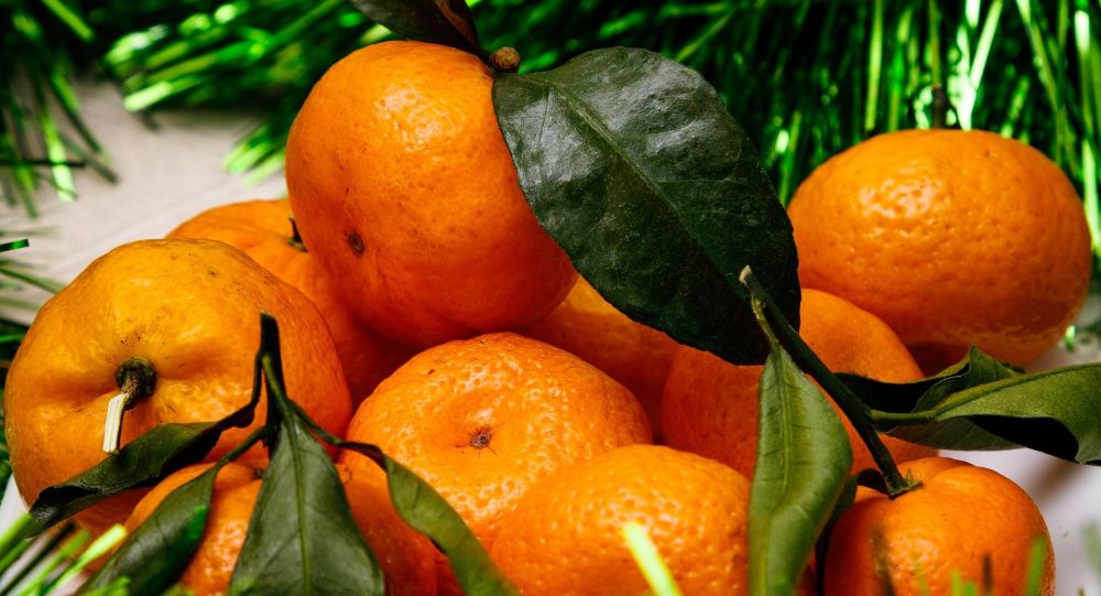  ��������� ����������� ����� ������ �������� ���������� ���������� �������� 