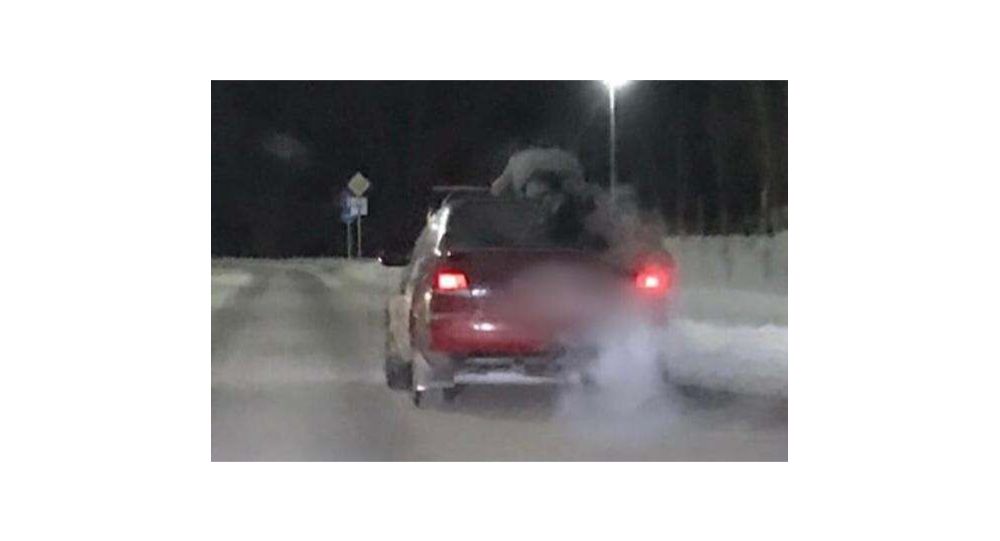 ����: ru.sputniknews.kz