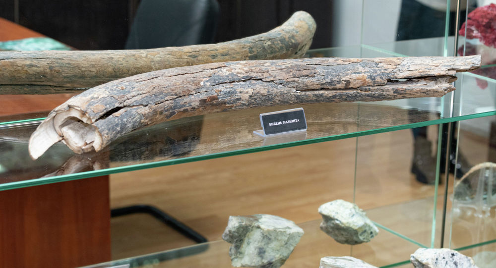 ����: ru.sputniknews.kz