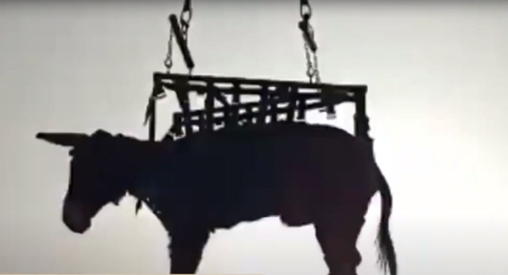  ������ �������� ��� ������� ��������� ����� ������������ �������� 