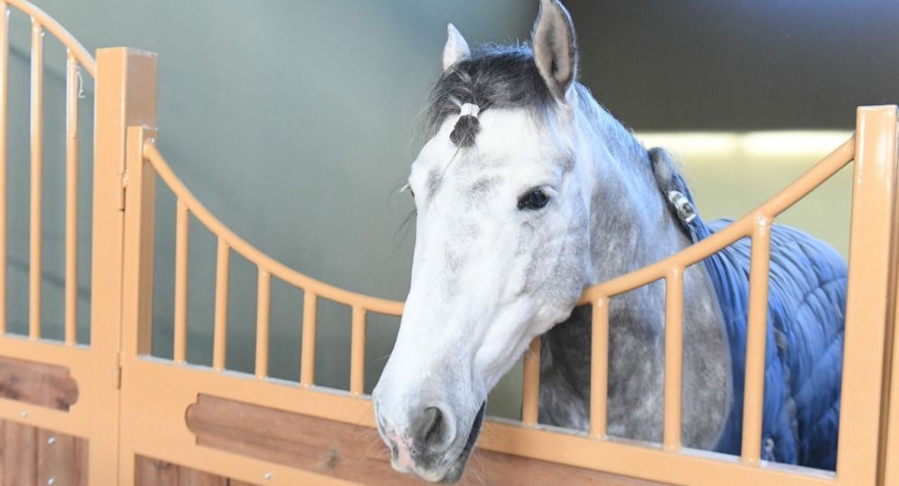  ��������� ������� �������� ��������� ������� ��� ���������� 