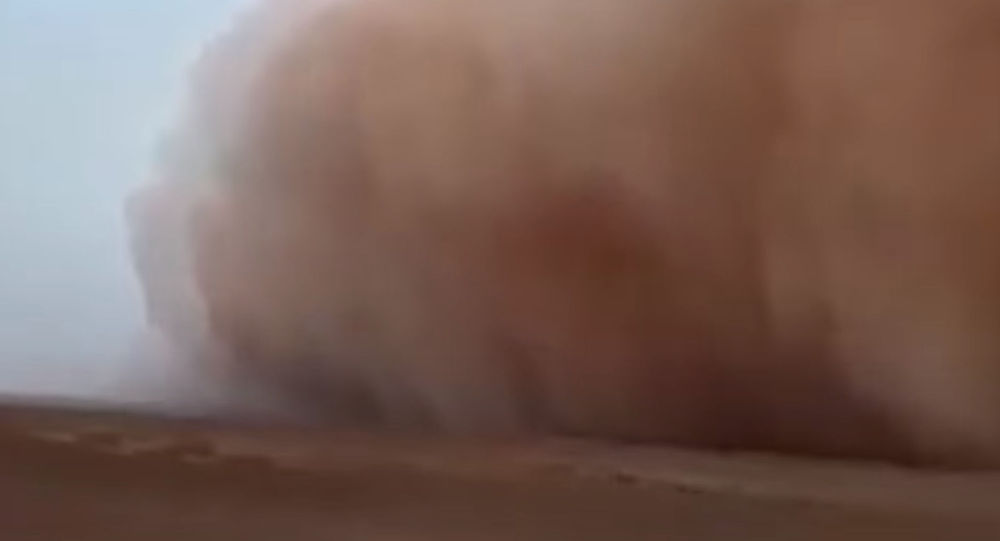  ������ �������� ���� �������� ������ ����� 