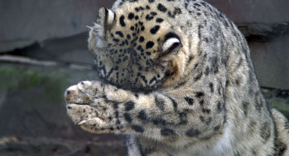 ����: ru.sputniknews.kz