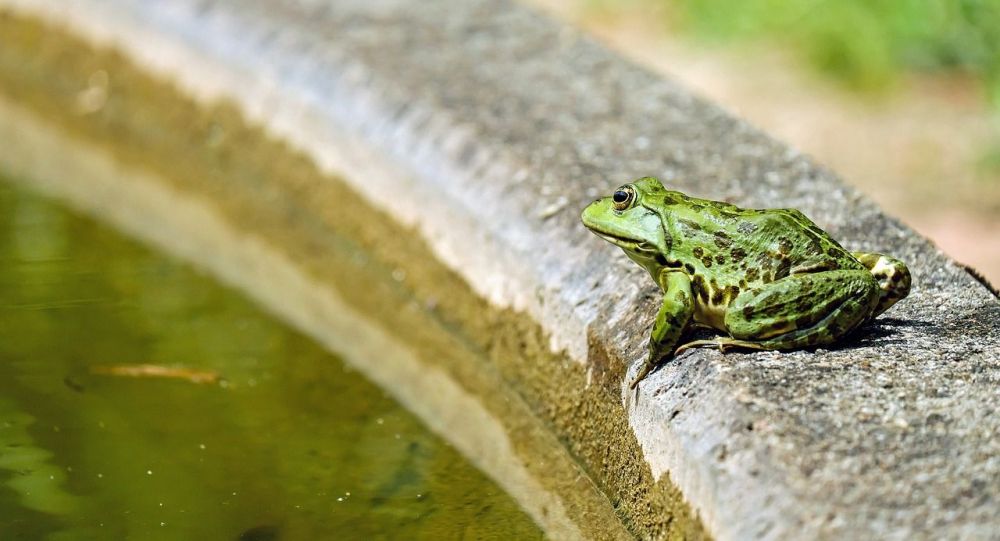 ����: ru.sputniknews.kz