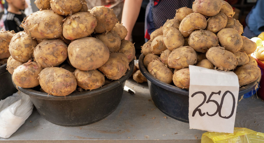  ���������� ���� �������� ������� ������ ��������� ��������� 