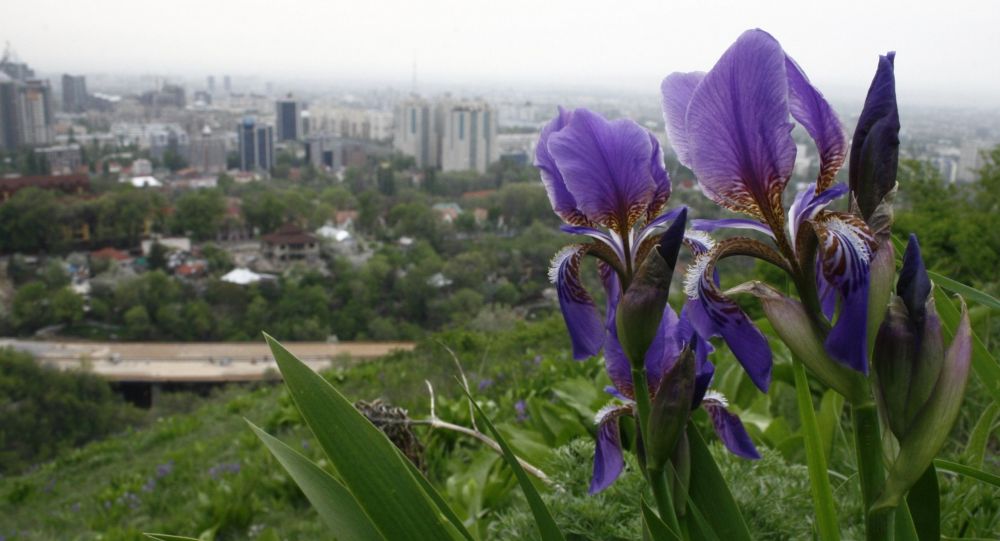 ����: ru.sputniknews.kz