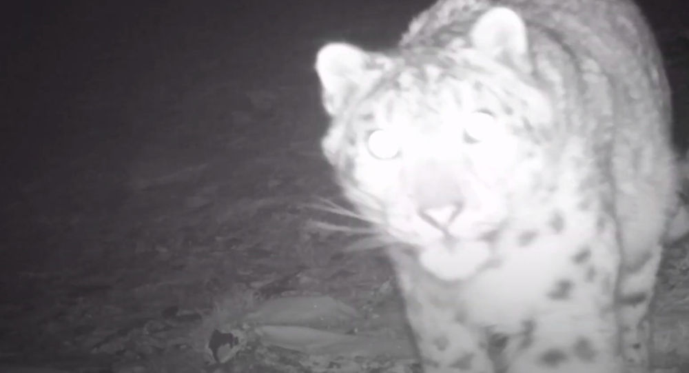 Фото: ru.sputniknews.kz