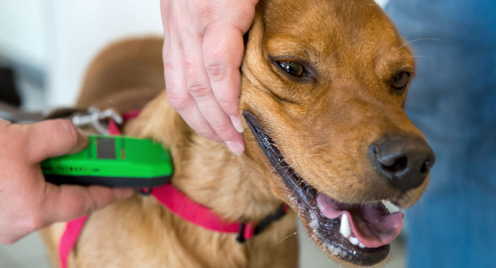 ����: ru.sputniknews.kz