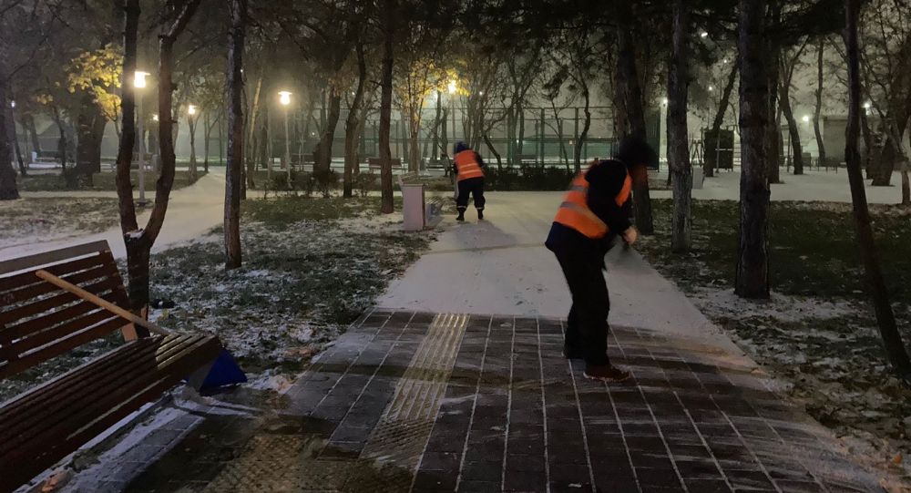 ����: ru.sputniknews.kz