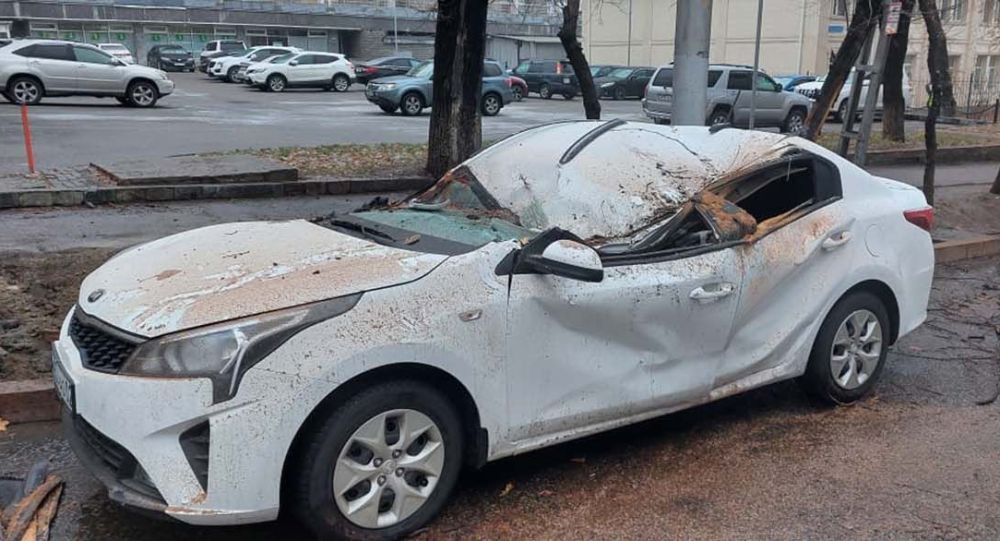 ����: ru.sputniknews.kz