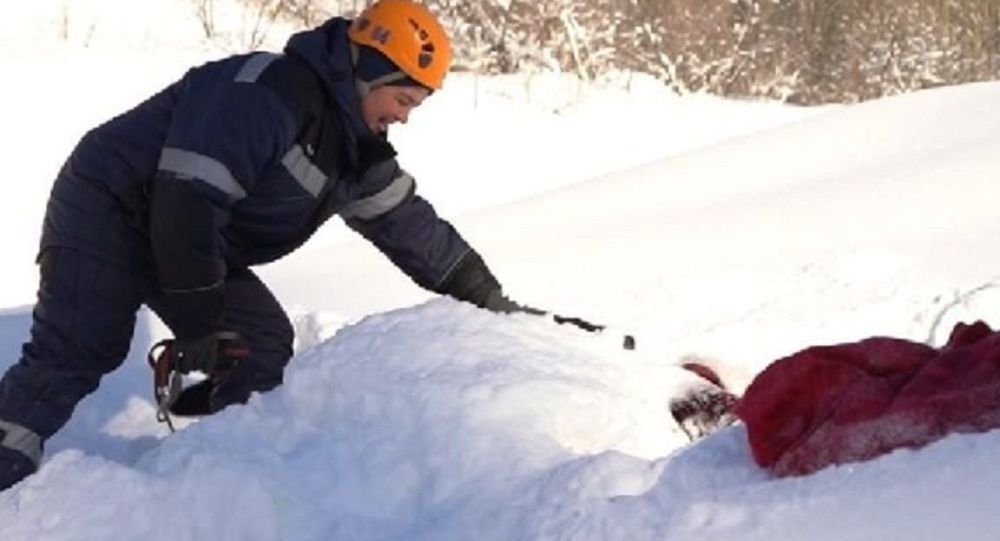 ����: ru.sputniknews.kz