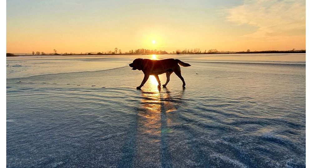  ��������� ���� ���������� ���� ������ ����� 