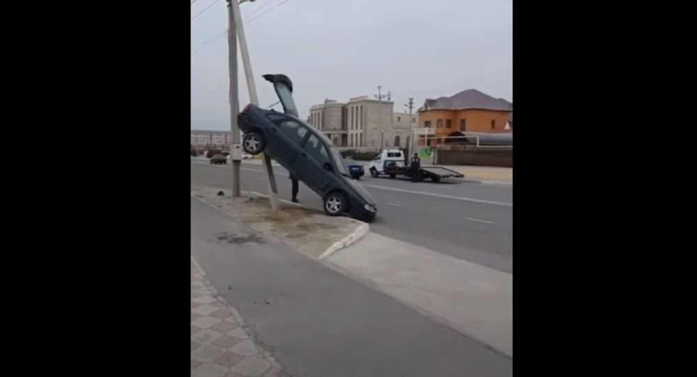  ���������� ������ ����� ����� ����� ���������� ��� 