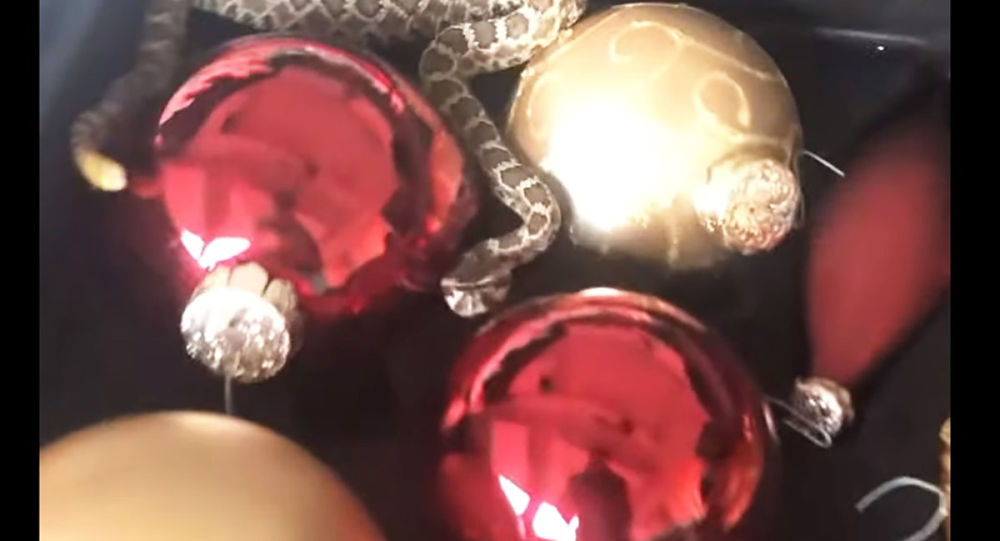 ����: ru.sputniknews.kz