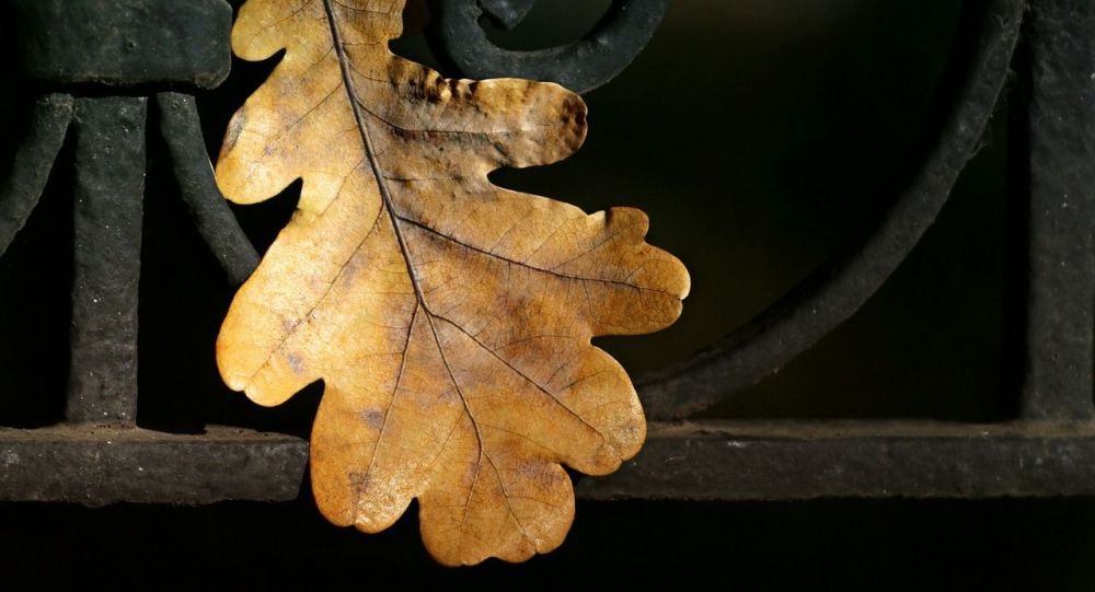 ����: ru.sputniknews.kz