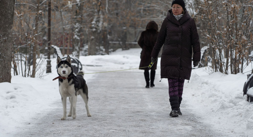 ����: ru.sputniknews.kz