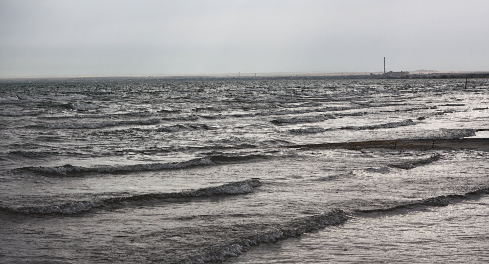 ����: ru.sputniknews.kz