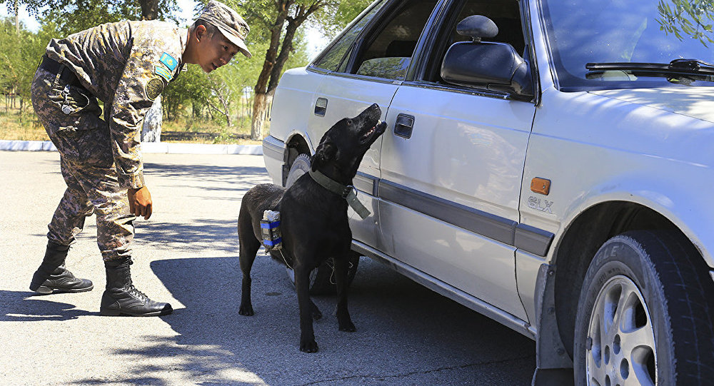  ��������� ����������� �������� ����� ��������� ������ ������ 