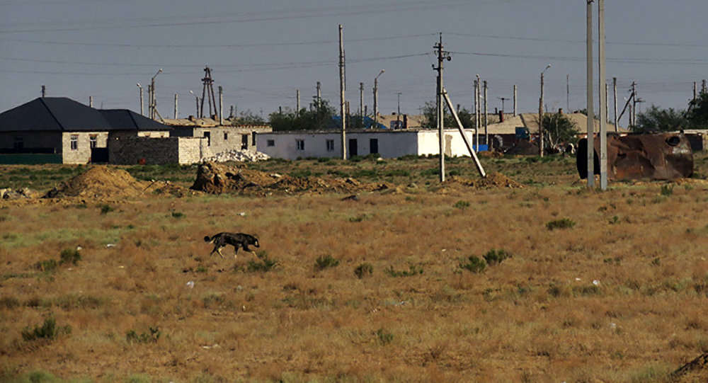  ��� ������������ ������ ����� ����������� ����������� ������� 