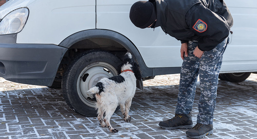 ����: ru.sputniknews.kz