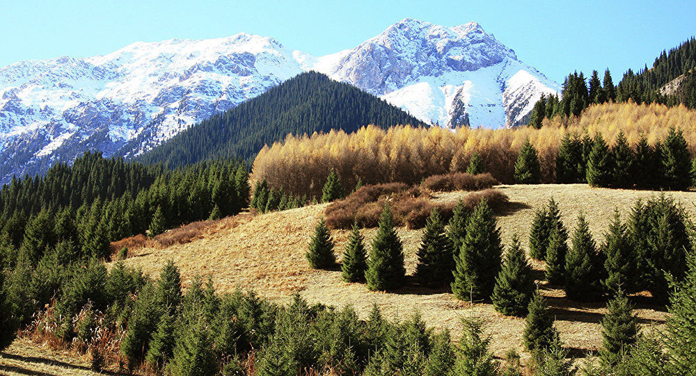 ����: ru.sputniknews.kz