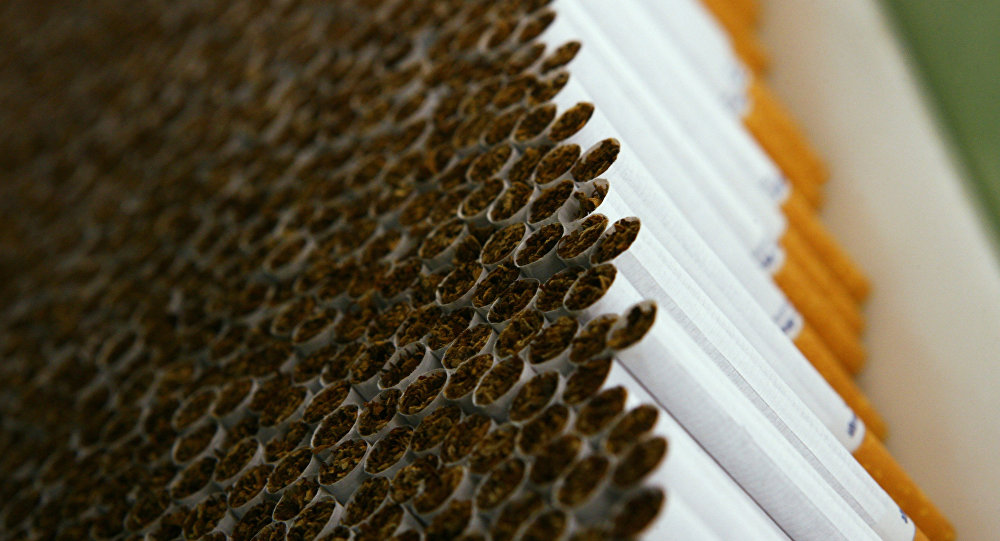  ���������� ����� ��������� ���� ������������ ���������� �������� ������� 