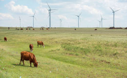 По дороге к озеру Кобейтуз