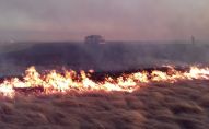 Степной пожар в Казахстане Степной пожар в Казахстане