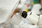 Врач изучает в микроскопе пробы на коронавирус в лаборатории больницы