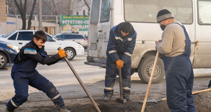 Акция по посадке деревьев взамен вырубленных у известного магазина электроники