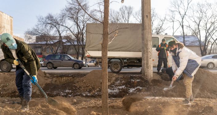 Акция по посадке деревьев взамен вырубленных у известного магазина электроники