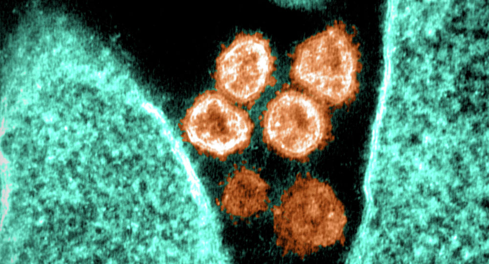 Ғалымдар коронавирус қашан жай тұмау болып кететінін анықтады