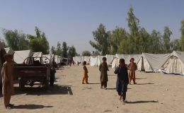 Будет ли официальный Кабул управлять Афганистаном совместно с талибами?