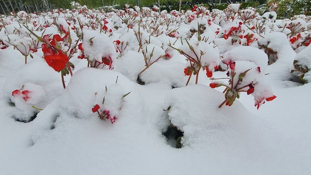 Снег выпал в Нур-Султане 5 октября 2021 г