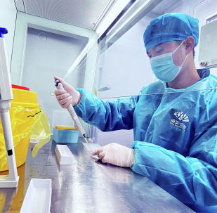 Сотрудник лаборатории исследует образцы ПЦР-тестов на коронавирус