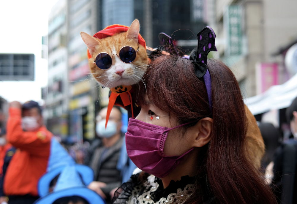 Женщина несет кота на плече по улице