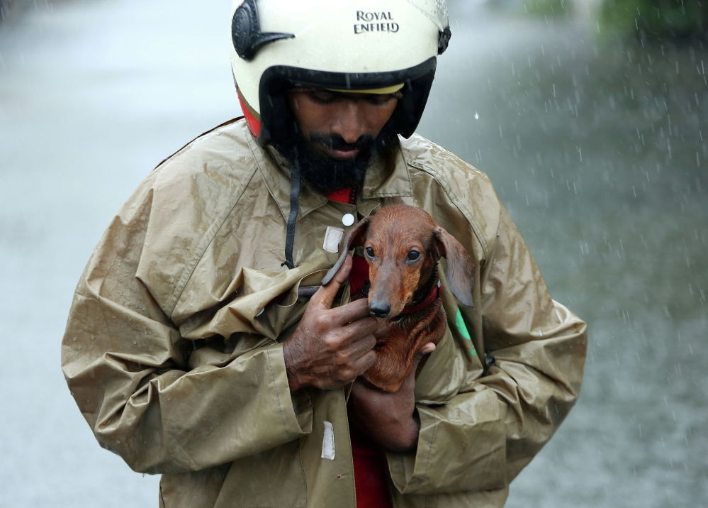 Мужчина держит собаку под плащом во время дождя 