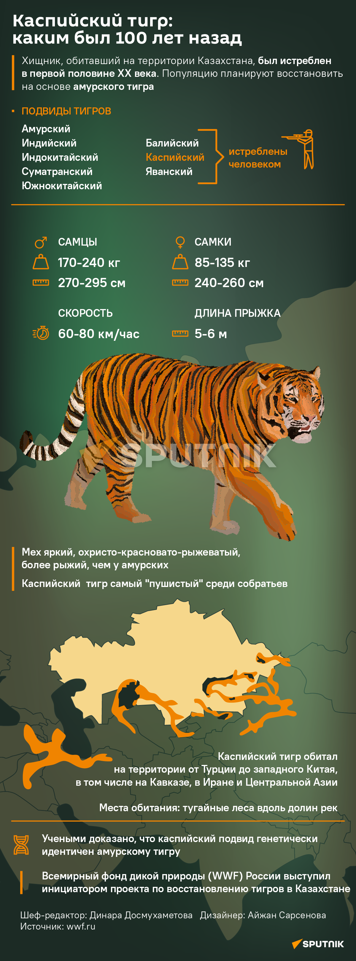 Каспийский тигр - Sputnik Казахстан