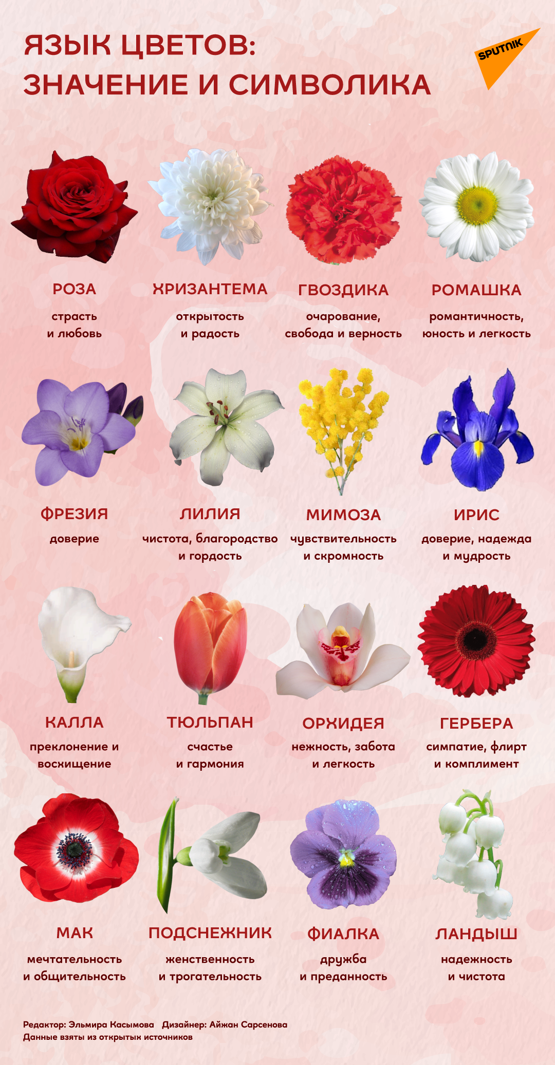 Язык цветов: значение и символика - Sputnik Казахстан