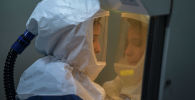 Сотрудница лаборатории в костюме биологической защиты работает с образцами коронавируса