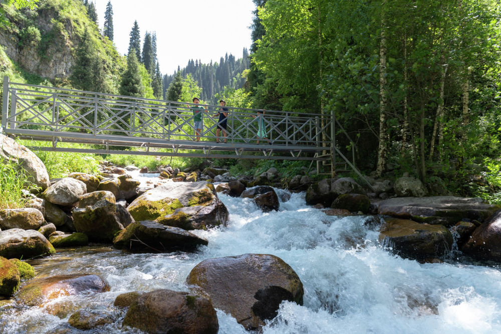 Бутаковка алматы фото