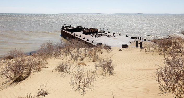 Заброшенное судно лежит между береговой линией Аральского моря и песчаными дюнами, архивное фото