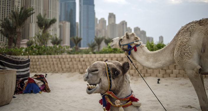 Города мира. Дубай