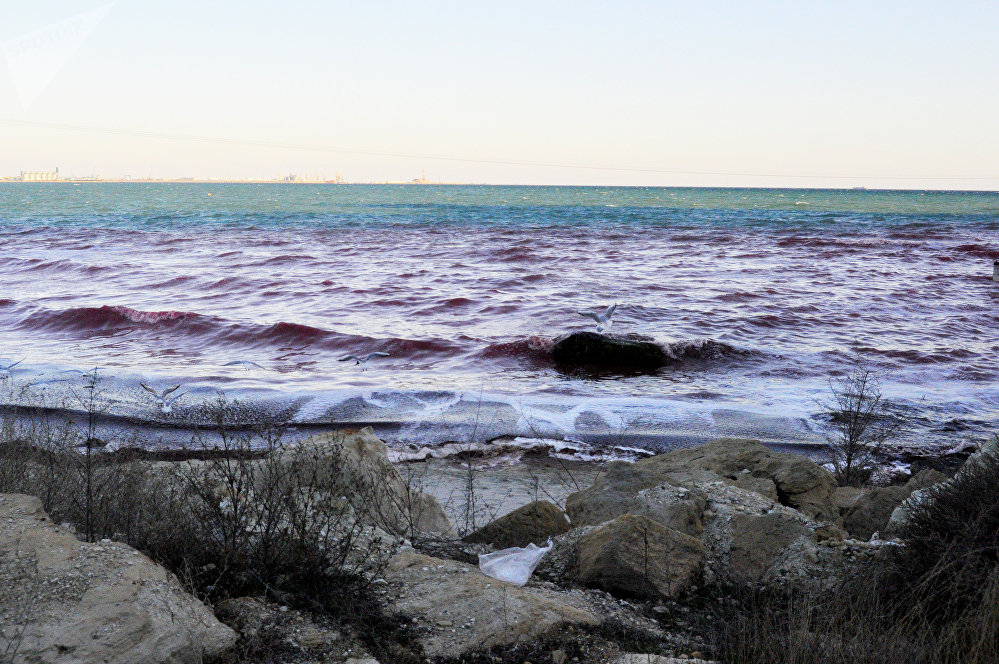 Вода в каспийском море