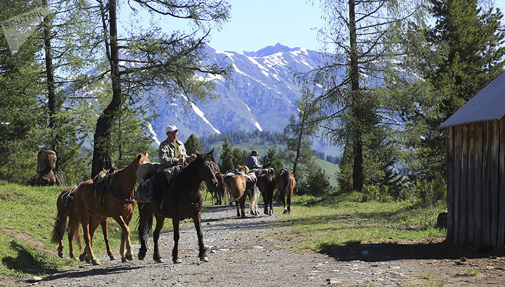 Tourism in kazakhstan презентация