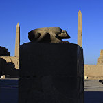 Турист статуи скарабея на руинах Карнакского храма в Луксоре, Египет