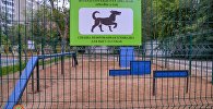 Площадка для выгула собак впервые появилась в Астане